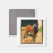 Nubian Magnet - Platz (Vorderseite/Rückseite)