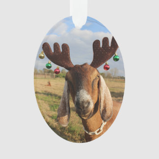 Nubian Ren-Weihnachtsverzierung Ornament
