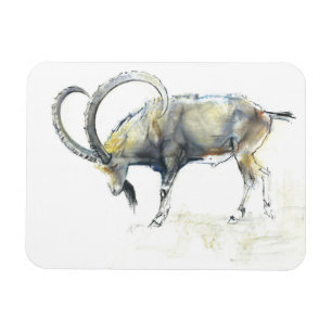 Nubian Steinbock 2008 Magnet