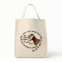 NUBIAN ZIEGE - HÄNGEN IHRE OHREN NIEDRIG?