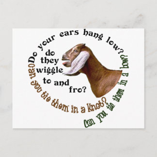 NUBIAN ZIEGE - HÄNGEN IHRE OHREN NIEDRIG? POSTKARTE