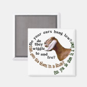 NUBISCHE ZIEGE - HABEN IHRE OHREN NIEDRIG? MAGNET (Vorderseite/Rückseite)