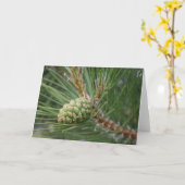 Nublile Kiefern-Kegel-Karten-freier Raum Karte (Gelbe Blume)