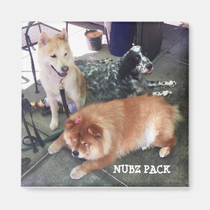 NUBZ NATION Magnet.   Platz Magnet