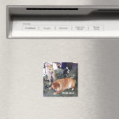 NUBZ NATION Magnet. Quadrat Magnet (In Situ (Geschirrspüler))