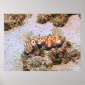 Nudi Pair Poster (Vorne)