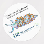 Nudi Stickers #2 Etiketten (Design 2)