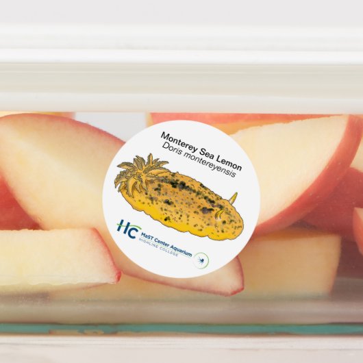 Nudi Stickers #2 Etiketten (Befestigt)