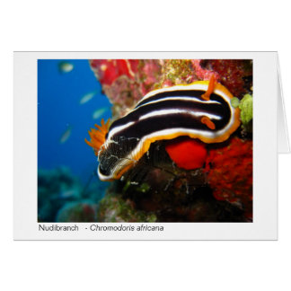 Nudibranch Geschenkkarte - 02