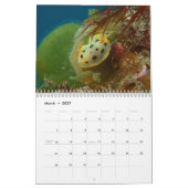 Nudibranch Kalender (Mär 2027)