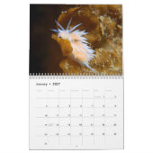 Nudibranch Kalender (Jan 2027)