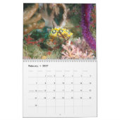 Nudibranch Kalender (Feb 2027)