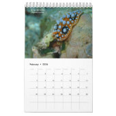 Nudibranchs in Siquijor: Desktop-Kalender Kalender (Feb 2026)