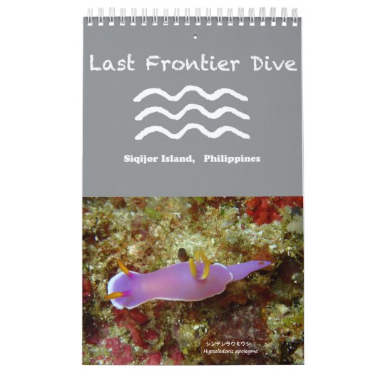 Nudibranchs in Siquijor: Desktop-Kalender Kalender (Titelbild)