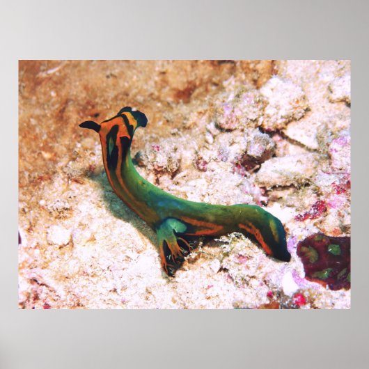 NudiBranntwein Poster (Vorne)