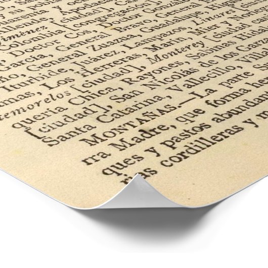 Nuevo Leon, Mexiko Poster (Ecke)