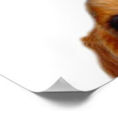 'Nuff gesagt! Poster (Ecke)