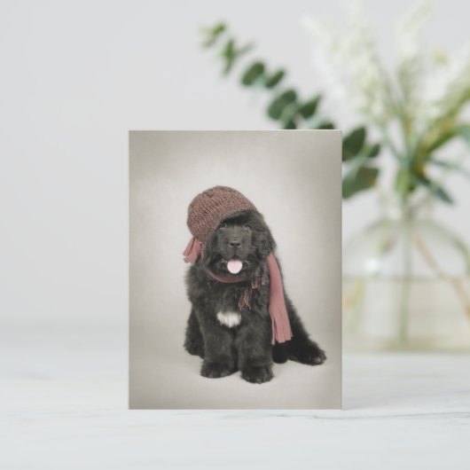 Nufie Postkarte (Stehend Vorderseite)