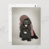 Nufie Postkarte (Vorne/Hinten)