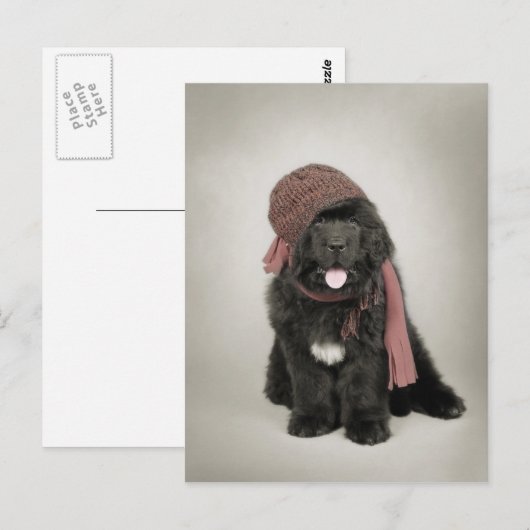 Nufie Postkarte (Vorne/Hinten)