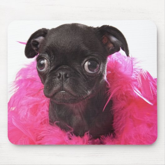 Nugget APARN SpokesPug Mousepad (Vorne)