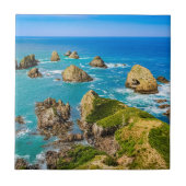 Nugget Point Inseln, Neuseeland Fliese (Vorderseite)