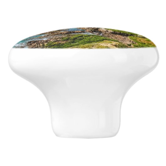 Nugget Point Inseln, Neuseeland Keramikknauf (Seitenansicht)