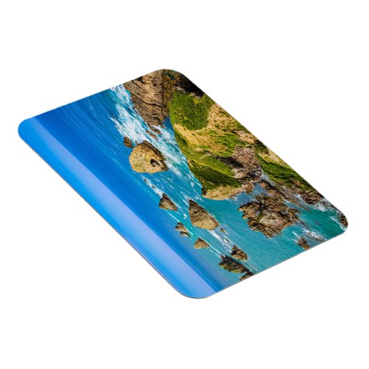 Nugget Point Inseln, Neuseeland Magnet (Rechte Seite)