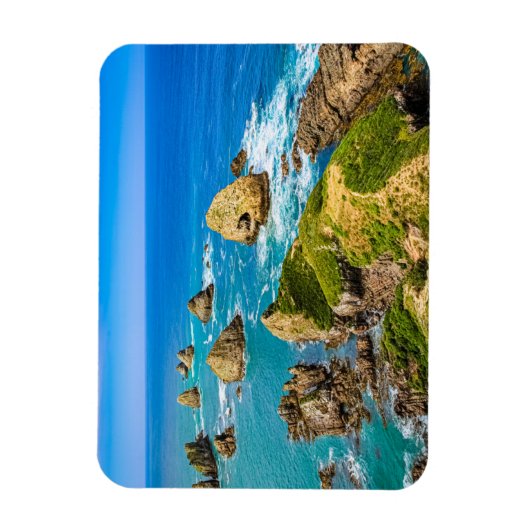 Nugget Point Inseln, Neuseeland Magnet (Vertikal)