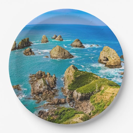 Nugget Point Inseln, Neuseeland Pappteller (Vorderseite)
