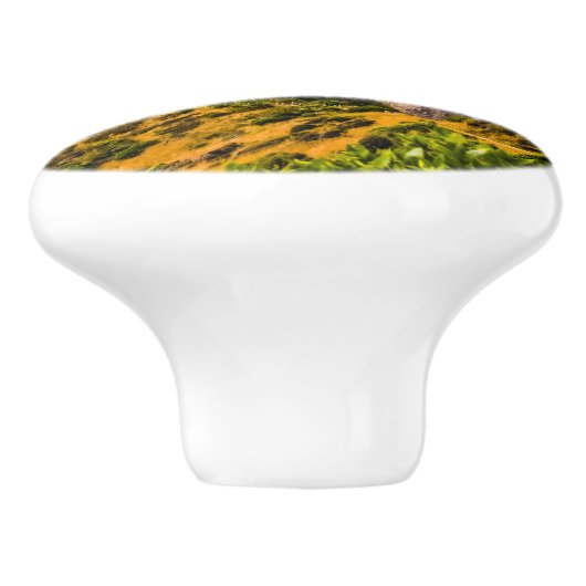 Nugget Point Leuchtturm, Neuseeland Keramikknauf (Seitenansicht)