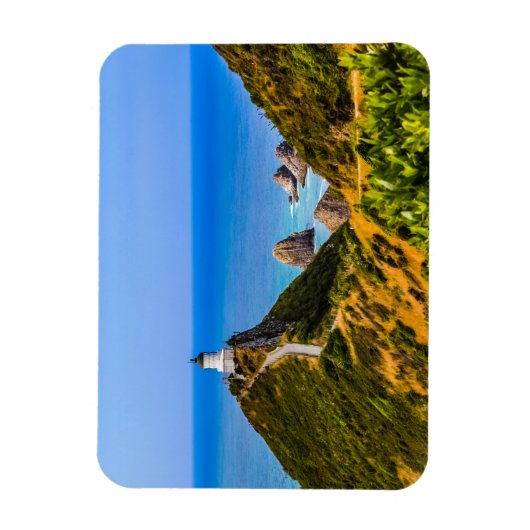 Nugget Point Leuchtturm, Neuseeland Magnet (Vertikal)