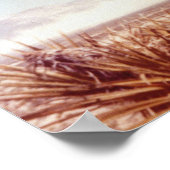 Nukleare Waffenprüfoperation Buster-Jangle 1951 Poster (Ecke)