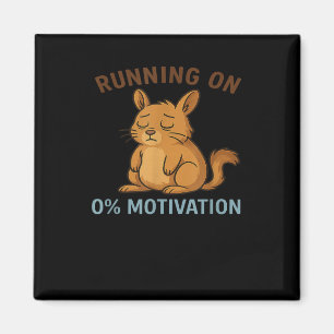 Null Motivation  Magnet