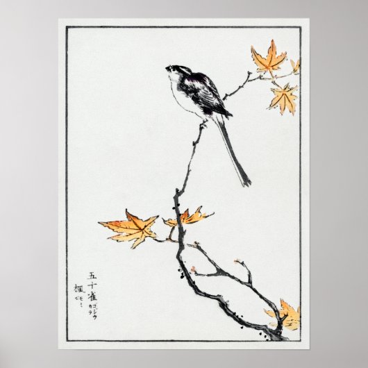 Numata Kashu Japanischer Langschwanz Tit und Ahorn Poster (Vorne)