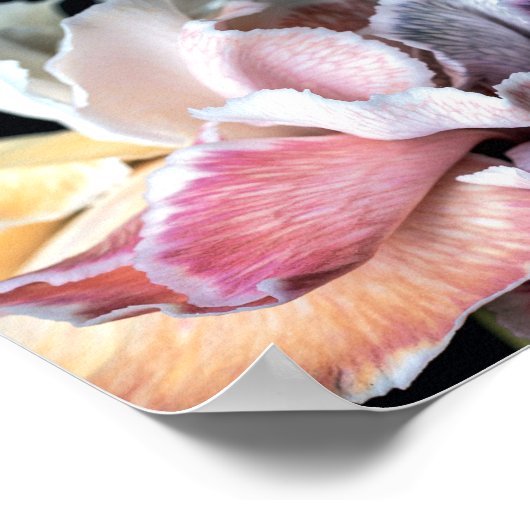 Numbers 6:24 Lord bless you Poster (Ecke)