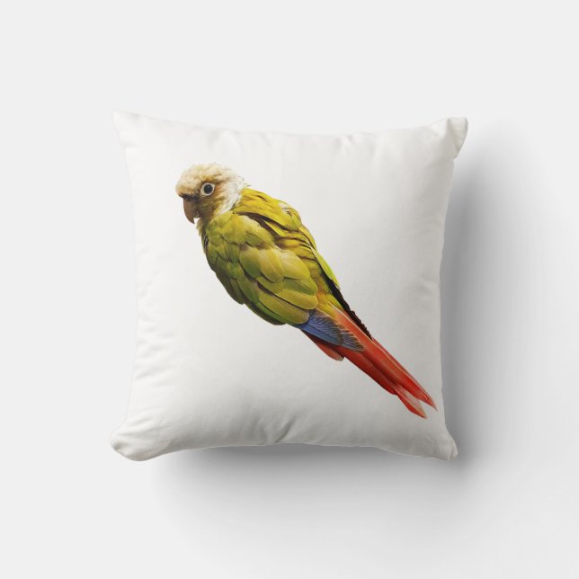 Numchoke ist kein Vogel Kissen (Vorderseite)