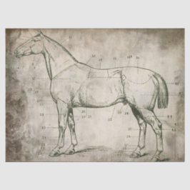 Numeriertes Pferd Seidenpapier