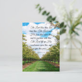 Nummer 6:24-26 Postkarte (Stehend Vorderseite)