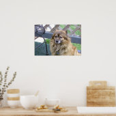 Nummer Eins Son Poster (Küche)