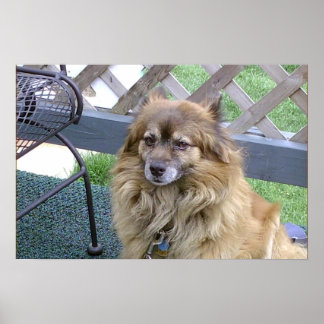 Nummer Eins Son Poster