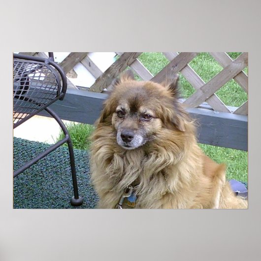 Nummer Eins Son Poster (Vorne)