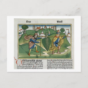 Nummern 13 23 Die Trauben von Eschol, aus dem "Nur Postkarte