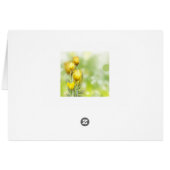 Nummern 6 24-26 Der Herr segne dich und behalte di (Rückseite Horizontal)