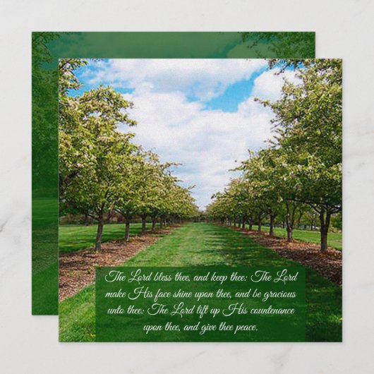 Nummern 6:24-26 Flachkarte (Vorne/Hinten)