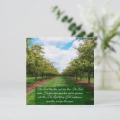 Nummern 6:24-26 Flachkarte (Stehend Vorderseite)