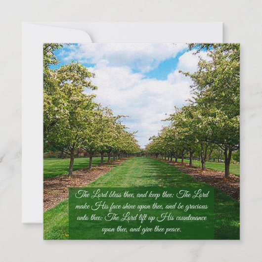 Nummern 6:24-26 Flachkarte (Vorderseite)