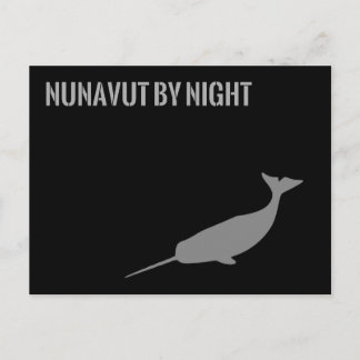Nunavut von Nacht Postkarte