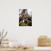 Nuns Hood Orchid Big Island Hawaii Poster (Küche)