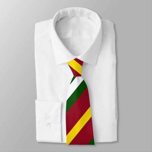 NUP mehrfarbige Krawatte (Gebunden)